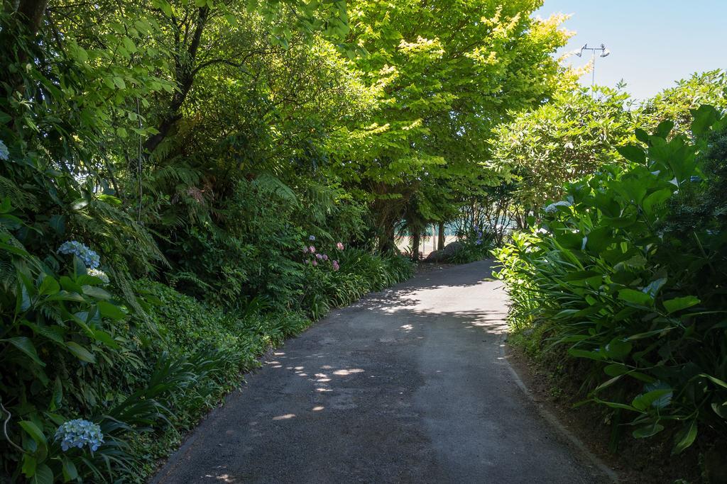 The Flying Trout Boutique Lodge Taupo Exterior foto